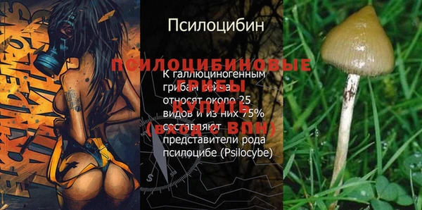 соль ск Алзамай