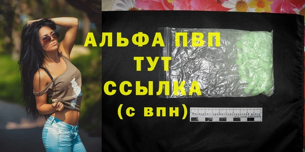 соль ск Алзамай