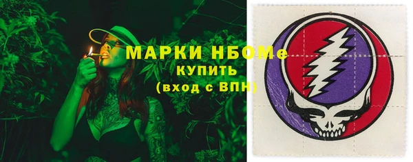 соль ск Алзамай