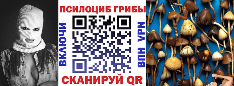 Псилоцибиновые грибы Psilocybe  купить закладку  нарко площадка формула  Карачев 